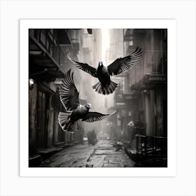 Pigeons In Flight 2 Art Print