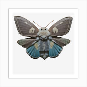 Butterfly Moth On A Black 3 Art Print