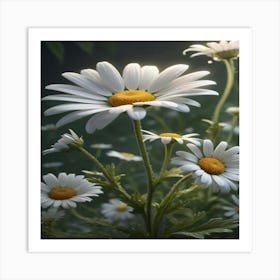 Daisies 3 Art Print