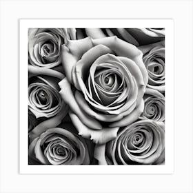 Black And White Roses 23 Art Print