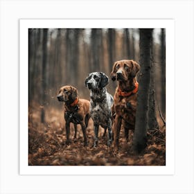 Three Dogs In The Woods 1 Art Print