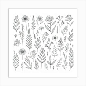 Hand Drawn Flowers And Leaves Art Print