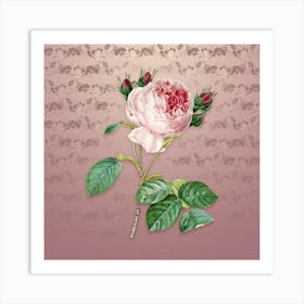 Vintage Centifolia Roses Botanical on Dusty Pink Pattern n.0815 Art Print