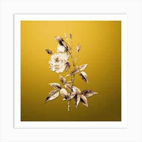 Gold Botanical Common Rose of India on Mango Yellow Art Print