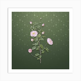 Vintage Pink Scotch Briar Rose Botanical on Lunar Green Pattern n.2502 Art Print