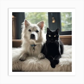 Black Cat And White Dog 2 Art Print
