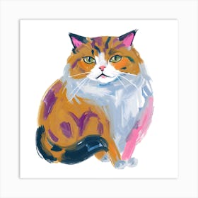 Persian Cat 01 Art Print