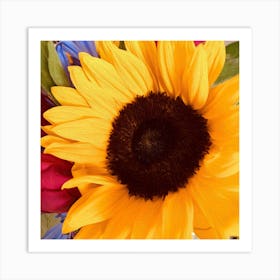 Sunflower In Oil Square Art Print