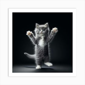 Grey Kitten Art Print