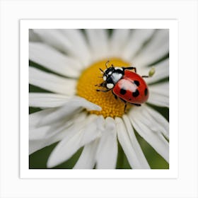 Ladybug On A Daisy 2 Art Print