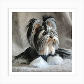 Parti Yorkshire Terrier 2 Art Print