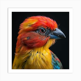 Colorful Bird 2 Art Print