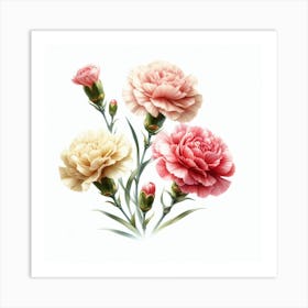 Flowers of Carnation 1 Art Print