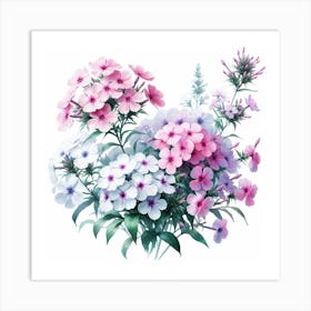 Flowers of Phlox Art Print