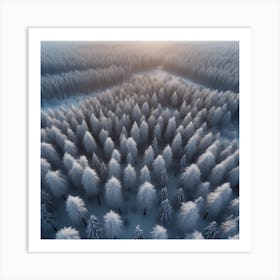 Aerial View Of A Winter Forest 3 Art Print