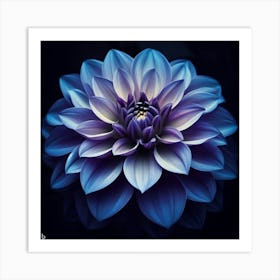 Dahlia Art Print