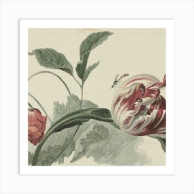 Tulip 1 Art Print