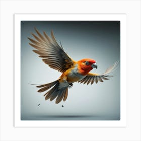 Bird In Flight 1 Art Print