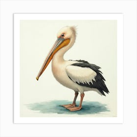 Pretty Pelican Bird Póster