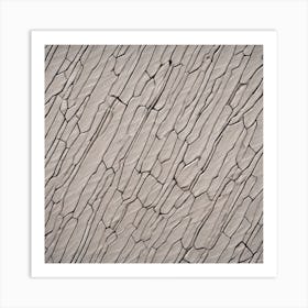 Cracks In The Wall Art Print