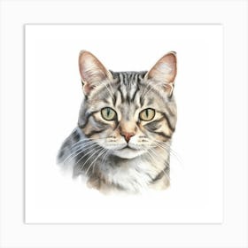 American Shorthair Cat Portrait 3 Art Print