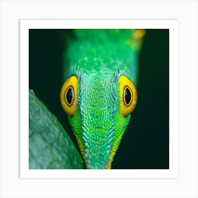 Green Iguana Art Print