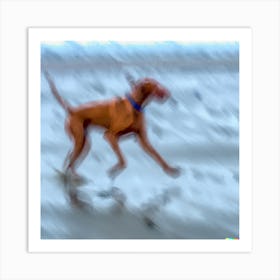 Dog On The Beach 2 Art Print