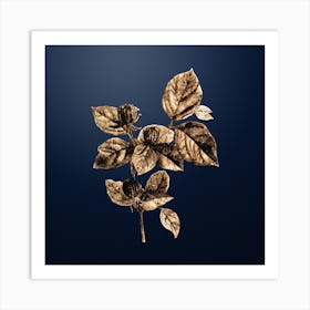 Gold Botanical Carolina Allspice Flower on Midnight Navy n.0479 Art Print