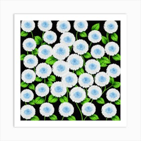 White Chrysanthemums On Black Background Art Print