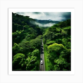 Road In The Rainforest Art Print