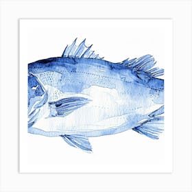 Bluefin Tuna Art Print