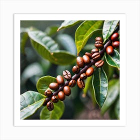 Coffee Beans On A Tree 36 Art Print