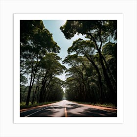 Road In The Forest Art Print