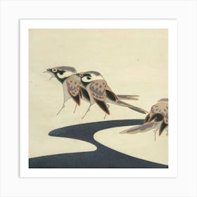 Three Birds On A River Art Print