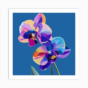 Two Orchids Art Print