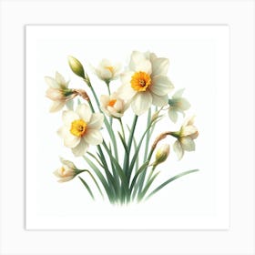 Flowers of Narcissus 1 Art Print