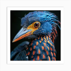 Blue And Orange Bird Art Print