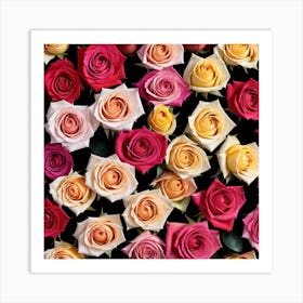 Colorful Roses 27 Art Print