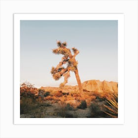 Joshua Tree Sunrise Art Print