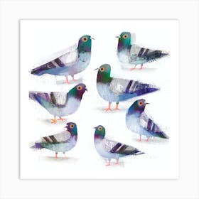 Pigeons Art Print