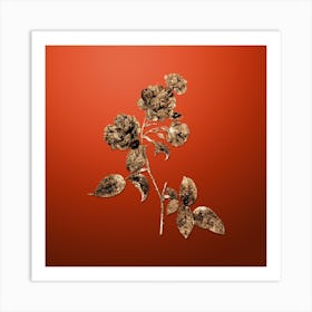 Gold Botanical Red Cabbage Rose in Bloom on Tomato Red Art Print
