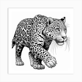 Line Art leopard Art Print