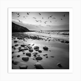 Black And White Seagulls Art Print