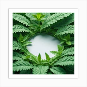 Cannabis Leaf Background Art Print