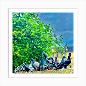 Pigeons On A Wall Art Print