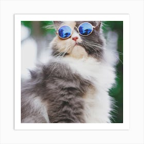 Cat With Sunglasses Art Print