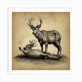 Deer And Elk Art Print