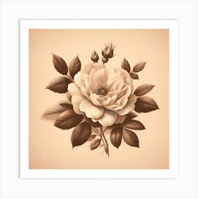 Rose On A Beige Background Art Print