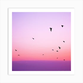 Flock Of Birds At Sunset Art Print