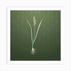 Vintage Lachenalia Pallida Botanical on Lunar Green Pattern n.2376 Art Print